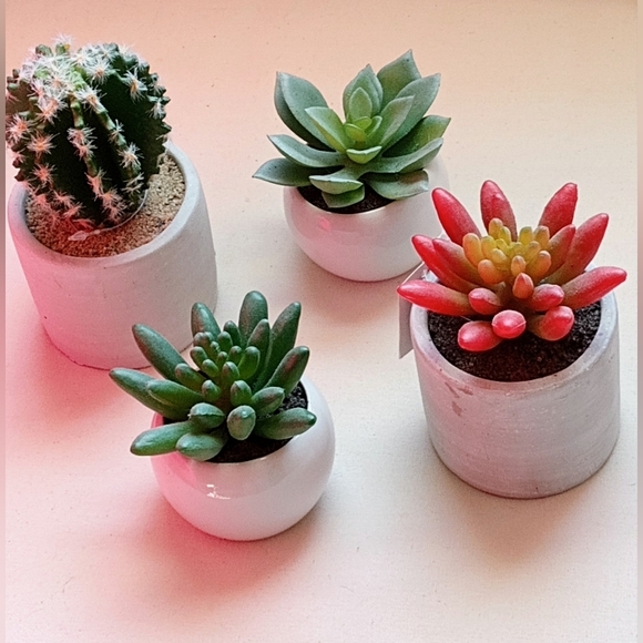Other - Cuuuuute Succulent Planter Set - Green and Red